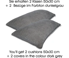 Formalind 2 sofos pagalvėlių komplektas 50 x 30 cm, dekoratyvinės pagalvėlės 2 vnt., dekoratyvinės pagalvėlės, sofos pagalvėlės, 2 užvalkalai + 2 užpildytos pagalvėlės (tamsiai pilka)