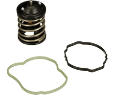 Gates Th47487g1 Termostatas