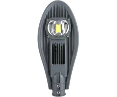 Gatvės LED prožektorius-šviestuvas, 30 W, IP65