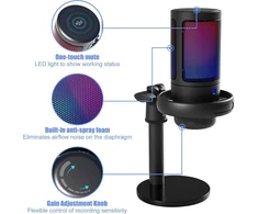 Gireich Usb žaidimų mikrofonas, Rgb kondensatoriniai mikrofonai Pc Ps4 Ps5, mikrofonas Pc su nutildymo mygtuku, pop filtras, sukamasis valdiklis garsumui reguliuoti, amortizatorius transliacijoms ir podcast'ams