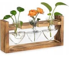 Glasseam 3x augalų dauginimo stovas, medinis stiklinis vazonas terariumas