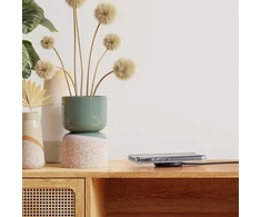 Hama magnetinis belaidis qi įkroviklis 15 w (qi2 sertifikuotas įkroviklis, qi įkrovimo padėklas greitas belaidis įkroviklis, magsafe suderinamas indukcinis kaip mobiliojo telefono įkrovimo stotelė iphone 15/14/13/12/airpods ir kt.)