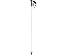 Head Unisex Adult Worldcup Rebels Carbon slidinėjimo lazdos, Baltas/juodas/speed Mėlyna, 120