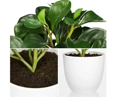 Hollyone dirbtinis augalas vazone, mažas meno žalios spalvos augalas, dirbtinė peperomija, dekoratyviniai augalai, kaip tikri, dirbtinis bonsai augalas svetainei, miegamajam, palangei, stalo dekoravimui