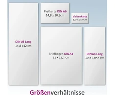 Isecur Hin190 įspėjamasis lipdukas „šis šaligatvis nėra šunų tualetas I Din A6 I draudžiamasis lipdukas, nėra šunų tualeto I šunims draudžiama tuštintis I žibinto lipdukas I hin190