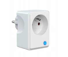 Išmanusis lizdas 16a su apkrova, suderinamas su Alexa Google Home
