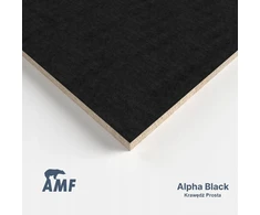 Juoda lubų plokštė - Amf Alpha Sk 600x600x19mm