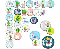 Juokingi magnetukai šaldytuvui ir magnetinei lentai - dekoratyviniai magnetukai su motyvacinėmis citatomis - Alpaca dovana - 30 vnt.