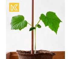 Kadax medinis kuolas, smailus, impregnuotas, 150 cm, augalų atrama, medžių lazda