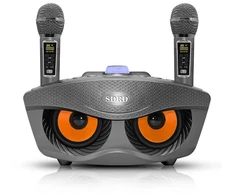 Muzikinis centras Karaoke Sd306 Plus 30w belaidis