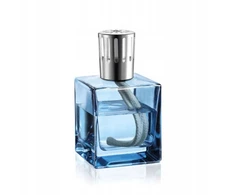 Katalizinė lempa Fancy Home 300 ml, antracito spalvos