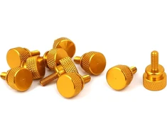 Kompiuterio varžtai M4x10mm su galvute, 10 vnt., aukso spalvos