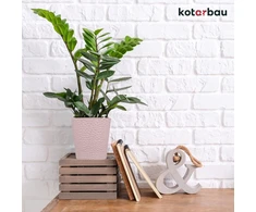 Kotarbau® gėlių vazonų rinkinys, 2 vnt., rožinės spalvos, glazūruoti, skersmuo 9,5 cm, aukštis: 11 cm, keraminis vazonas orchidėjoms, modernus, skirtas kambarinėms gėlėms