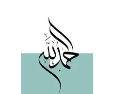 Kulkinis žurnalas - 180 puslapių: Alhamdulillah