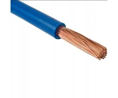 Laidas Lgy 1x2,5mm mėlynas, metrais, 1m