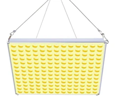 LED augalų auginimo lempa Roleadro 1000 W