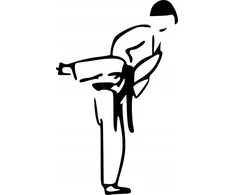 Lipdukas be fono automobiliui kovos menas karate karateka 20 x 12,5 cm
