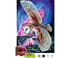 Mishbay Deimantinė tapyba - 30 x 40 cm Deimantinė tapyba suaugusiems - Deimantinės tapybos paveikslai Pelėda - „pasidaryk pats“ 5d rinkinys Tapyba pagal skaičius