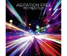 Momentum