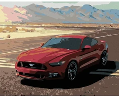 Mustang paveikslas pagal skaičius 40 x 50 cm be porėmio