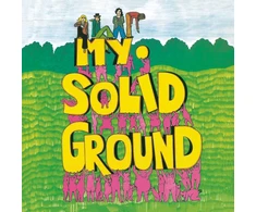 My Solid Ground