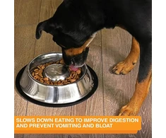 Neater Pet Brands nerūdijančio plieno lėto ėdimo dubuo, neslystantis, apsaugantis nuo greito šunų maisto išblukimo, pilvo pūtimo, virškinimo ir greito ėdimo (ypač didelis, 5 puodeliai)