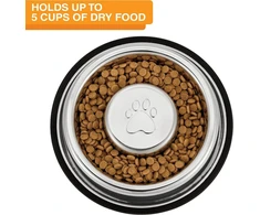 Neater Pet Brands nerūdijančio plieno lėto ėdimo dubuo, neslystantis, apsaugantis nuo greito šunų maisto išblukimo, pilvo pūtimo, virškinimo ir greito ėdimo (ypač didelis, 5 puodeliai)