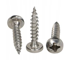 Nerūdijančio plieno sraigtai medienai, 3x20 mm, 15 vnt.