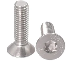 Nerūdijančio plieno varžtas M6x20 su Torx galvute ir saugos skylute (10 vnt.)
