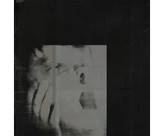 Vinilinė plokštelė Never Exhale