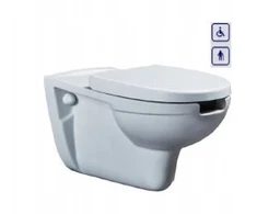 Pakabinamas unitazas neįgaliesiems ir pagyvenusiems žmonėms, wc bidetas