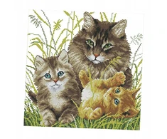 Pasidaryk pats siuvinėjimas, piešimas 11ct 43x43cm