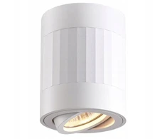 Pasiūlymas! Led lubų šviestuvas tuba halogeninis judinamas gu10 baltas