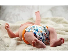 Petit lulu dydžio 1 pul kelnaitės (2–6kg) su velcro lipdukais naujagimiams, vaivorykštės spalvų sauskelnės-kelnaitės kūdikiams, daugkartinio naudojimo ir vandeniui atsparios medžiaginės sauskelnės naujagimiams, pagamintos es (folklore), folklore