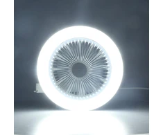 Pilipane tylus lubų ventiliatorius, 30w lubų ventiliatorius su šviesos valdymu, reguliuojama led ventiliatoriaus lempa, maža elektrinė e27 ventiliatoriaus lempa, modernus ventiliatoriaus apšvietimas miegamajam
