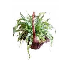 Pintinė gėlių dėžė sodui, skrybėlė, 37 cm