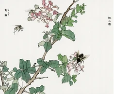 Plakatas 60x50cm Końskie Muchy Morimoto Toko Japoniškas Vintage svetainei