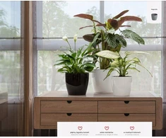 Plastikinis gėlių vazono dangtelis Magnolia 300 - juodas