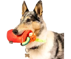 P.l.a.y. – Pet Lifestyle &amp; You Barking Brunch Collection - Buddy Mary (naujas!)