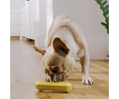 Playology Squeaky Stick | Vidutinio dydžio šunims (7-16 kg) | Įvairus kramtomasis žaislas | Natūralus vištienos aromatas | Išskirtinis kramtymo poreikis | Lengvai valomas, netoksiškos medžiagos