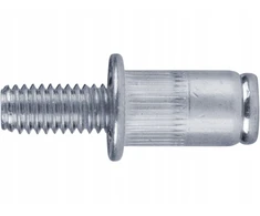 Plieninės kniedės-varžtai Fortum M6 x 12mm, 25 vnt, profesionalios