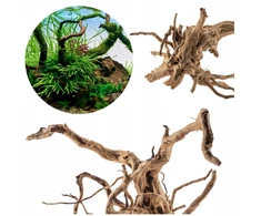 Raudona Moor šaknis L 40-50cm – akvariumo dekoracija