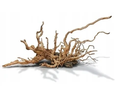 Raudona moor wood 0,5kg Šaknis M