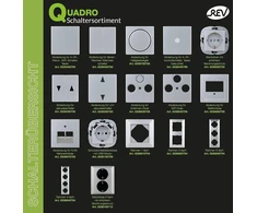 Rev Quadro Dimmerio Dangtelis, Sidabrinis