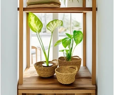 Skandi.pl dekoratyvinis vazonas, didelis boho stiliaus krepšys bonsai augalams, 3 vnt. vazonai terasai, balkonui