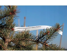 Sodo etiketės - Orchard Loop Baltas Bduże 327x20mm (20x327) 1000