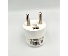 Šoninė 2p+pe kištukas Schneider W13401