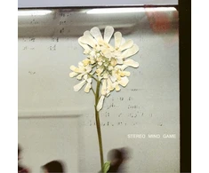 Stereo Mind Game