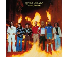 Street Survivors