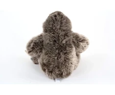 Teddys Rothenburg minkštas žaislas tinginys 26 cm sėdintis pilkas pliušinis žaislas